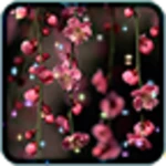 Logo of Flowers Live Wallpaper android Application 